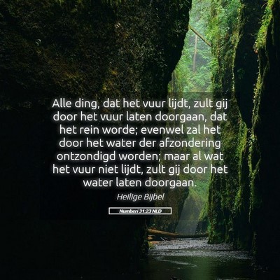 Picture 05 - Numberi 31:23 NLD - Alle ding, dat het vuur lijdt, zult gij door het - Bible Verse Picture