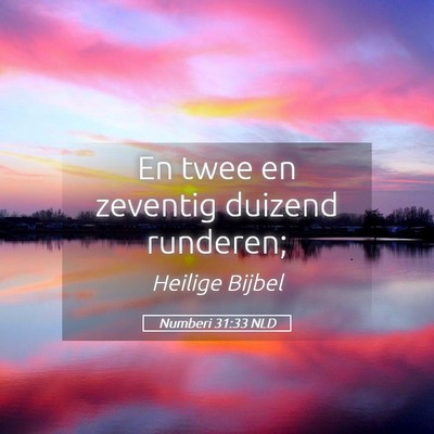 Picture 05 - Numberi 31:33 NLD - En twee en zeventig duizend - Bible Verse Picture