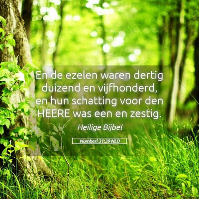 Picture 05 - Numberi 31:39 NLD - En de ezelen waren dertig duizend en vijfhonderd, - Bible Verse Picture