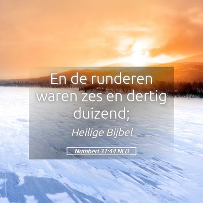 Picture 05 - Numberi 31:44 NLD - En de runderen waren zes en dertig - Bible Verse Picture