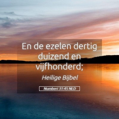 Picture 05 - Numberi 31:45 NLD - En de ezelen dertig duizend en - Bible Verse Picture