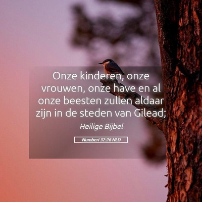 Picture 05 - Numberi 32:26 NLD - Onze kinderen, onze vrouwen, onze have en al onze - Bible Verse Picture