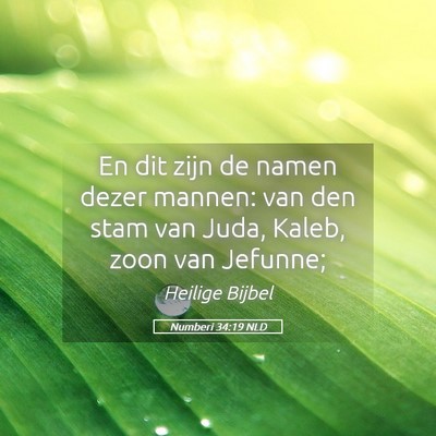 Picture 05 - Numberi 34:19 NLD - En dit zijn de namen dezer mannen: van den stam - Bible Verse Picture