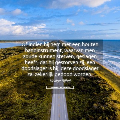 Picture 05 - Numberi 35:18 NLD - Of indien hij hem met een houten handinstrument, - Bible Verse Picture