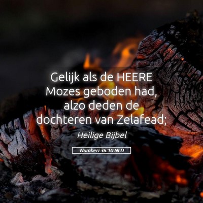 Picture 05 - Numberi 36:10 NLD - Gelijk als de HEERE Mozes geboden had, alzo deden - Bible Verse Picture