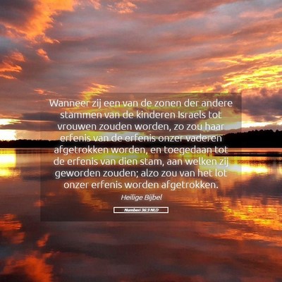 Picture 05 - Numberi 36:3 NLD - Wanneer zij een van de zonen der andere stammen - Bible Verse Picture