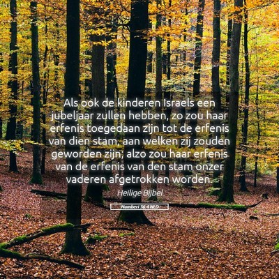 Picture 05 - Numberi 36:4 NLD - Als ook de kinderen Israels een jubeljaar zullen - Bible Verse Picture