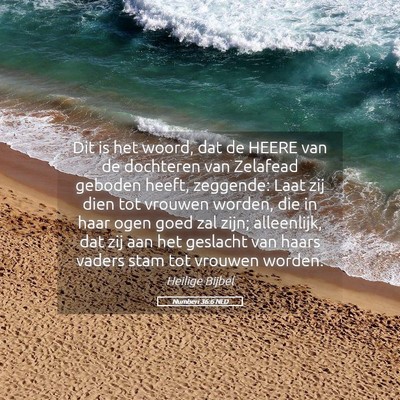 Picture 05 - Numberi 36:6 NLD - Dit is het woord, dat de HEERE van de dochteren - Bible Verse Picture