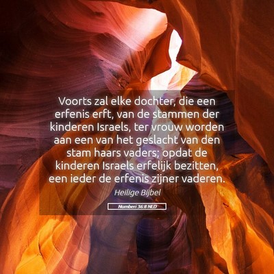 Picture 05 - Numberi 36:8 NLD - Voorts zal elke dochter, die een erfenis erft, - Bible Verse Picture