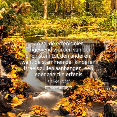 Picture 05 - Numberi 36:9 NLD - Zo zal de erfenis niet omgewend worden van den - Bible Verse Picture