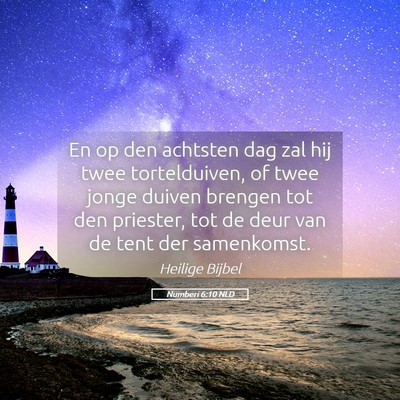 Picture 05 - Numberi 6:10 NLD - En op den achtsten dag zal hij twee tortelduiven, - Bible Verse Picture