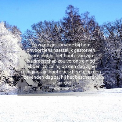 Picture 05 - Numberi 6:9 NLD - En zo de gestorvene bij hem onvoorziens - Bible Verse Picture