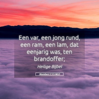 Picture 05 - Numberi 7:15 NLD - Een var, een jong rund, een ram, een lam, dat - Bible Verse Picture
