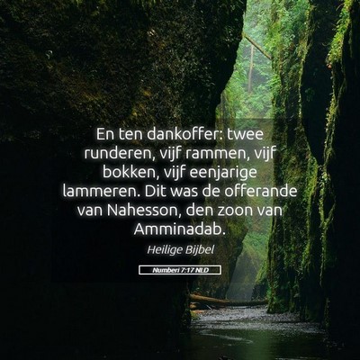 Picture 05 - Numberi 7:17 NLD - En ten dankoffer: twee runderen, vijf rammen, - Bible Verse Picture