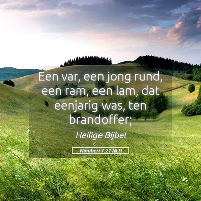 Picture 05 - Numberi 7:21 NLD - Een var, een jong rund, een ram, een lam, dat - Bible Verse Picture