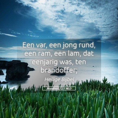 Picture 05 - Numberi 7:27 NLD - Een var, een jong rund, een ram, een lam, dat - Bible Verse Picture