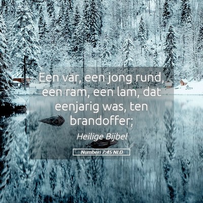 Picture 05 - Numberi 7:45 NLD - Een var, een jong rund, een ram, een lam, dat - Bible Verse Picture