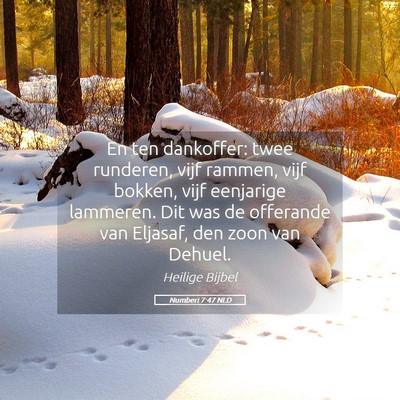 Picture 05 - Numberi 7:47 NLD - En ten dankoffer: twee runderen, vijf rammen, - Bible Verse Picture