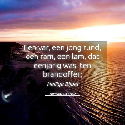 Picture 05 - Numberi 7:51 NLD - Een var, een jong rund, een ram, een lam, dat - Bible Verse Picture