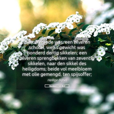 Picture 05 - Numberi 7:55 NLD - Zijn offerande was: een zilveren schotel, welks - Bible Verse Picture