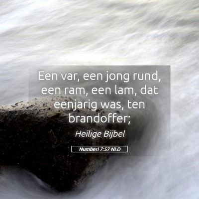 Picture 05 - Numberi 7:57 NLD - Een var, een jong rund, een ram, een lam, dat - Bible Verse Picture