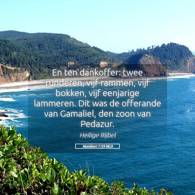 Picture 05 - Numberi 7:59 NLD - En ten dankoffer: twee runderen, vijf rammen, - Bible Verse Picture