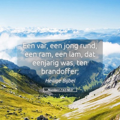 Picture 05 - Numberi 7:63 NLD - Een var, een jong rund, een ram, een lam, dat - Bible Verse Picture