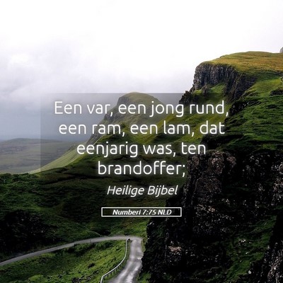 Picture 05 - Numberi 7:75 NLD - Een var, een jong rund, een ram, een lam, dat - Bible Verse Picture