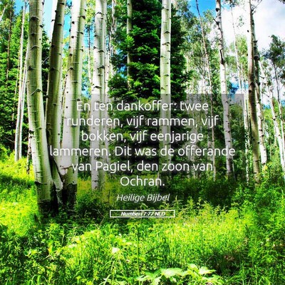 Picture 05 - Numberi 7:77 NLD - En ten dankoffer: twee runderen, vijf rammen, - Bible Verse Picture