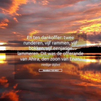 Picture 05 - Numberi 7:83 NLD - En ten dankoffer: twee runderen, vijf rammen, - Bible Verse Picture