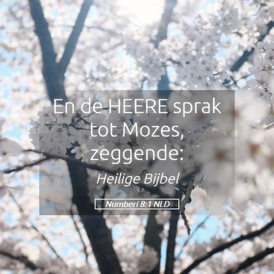 Picture 05 - Numberi 8:1 NLD - En de HEERE sprak tot Mozes, - Bible Verse Picture