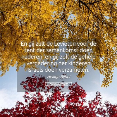 Picture 05 - Numberi 8:9 NLD - En gij zult de Levieten voor de tent der - Bible Verse Picture