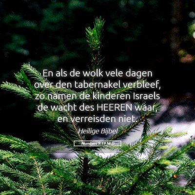 Picture 05 - Numberi 9:19 NLD - En als de wolk vele dagen over den tabernakel - Bible Verse Picture