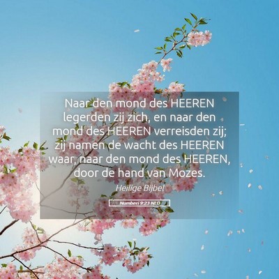 Picture 05 - Numberi 9:23 NLD - Naar den mond des HEEREN legerden zij zich, en - Bible Verse Picture