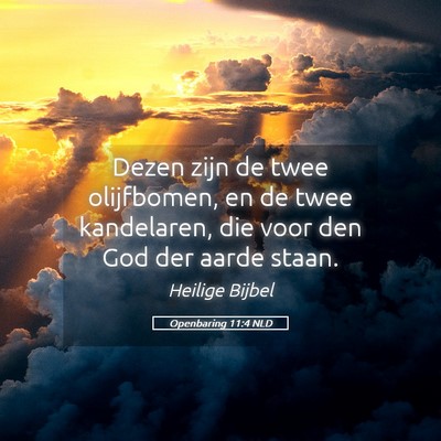 Picture 05 - Openbaring 11:4 NLD - Dezen zijn de twee olijfbomen, en de twee - Bible Verse Picture