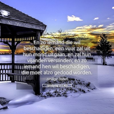 Picture 05 - Openbaring 11:5 NLD - En zo iemand die wil beschadigen, een vuur zal - Bible Verse Picture