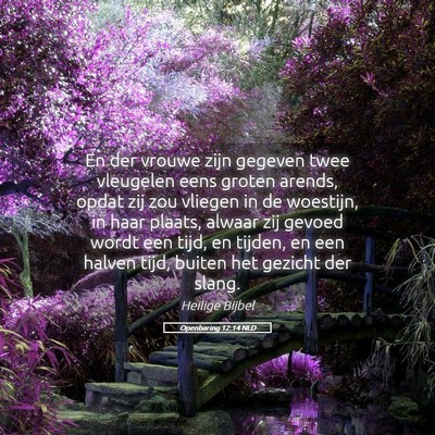 Picture 05 - Openbaring 12:14 NLD - En der vrouwe zijn gegeven twee vleugelen eens - Bible Verse Picture