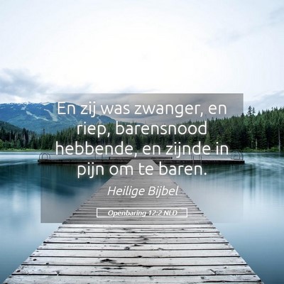 Picture 05 - Openbaring 12:2 NLD - En zij was zwanger, en riep, barensnood hebbende, - Bible Verse Picture