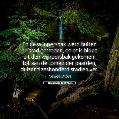 Picture 05 - Openbaring 14:20 NLD - En de wijnpersbak werd buiten de stad getreden, - Bible Verse Picture