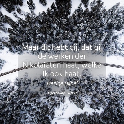 Picture 05 - Openbaring 2:6 NLD - Maar dit hebt gij, dat gij de werken der - Bible Verse Picture