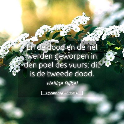 Picture 05 - Openbaring 20:14 NLD - En de dood en de hel werden geworpen in den poel - Bible Verse Picture