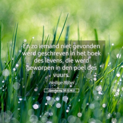 Picture 05 - Openbaring 20:15 NLD - En zo iemand niet gevonden werd geschreven in het - Bible Verse Picture