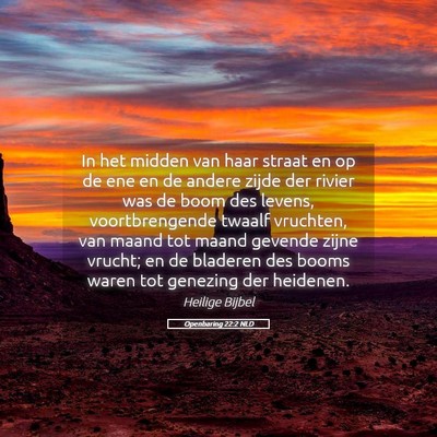 Picture 05 - Openbaring 22:2 NLD - In het midden van haar straat en op de ene en de - Bible Verse Picture