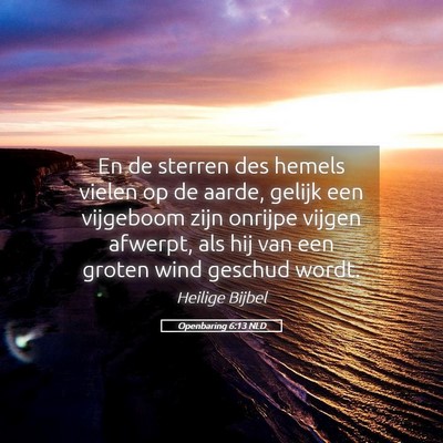 Picture 05 - Openbaring 6:13 NLD - En de sterren des hemels vielen op de aarde, - Bible Verse Picture