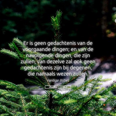 Picture 05 - Prediker 1:11 NLD - Er is geen gedachtenis van de voorgaande dingen; - Bible Verse Picture