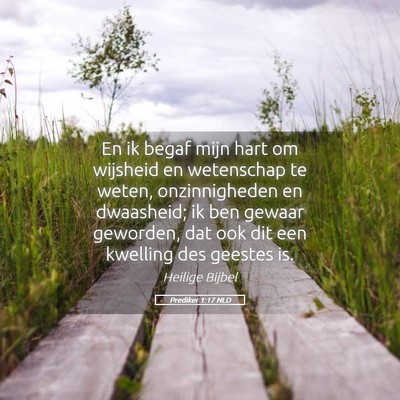 Picture 05 - Prediker 1:17 NLD - En ik begaf mijn hart om wijsheid en wetenschap - Bible Verse Picture