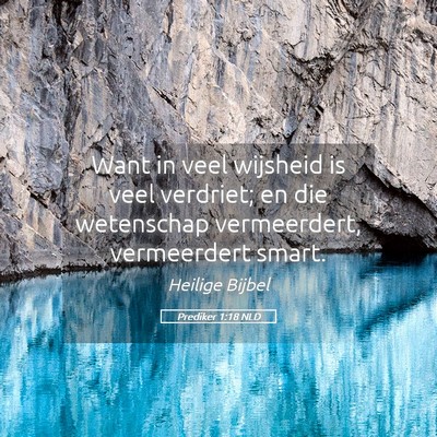 Picture 05 - Prediker 1:18 NLD - Want in veel wijsheid is veel verdriet; en die - Bible Verse Picture