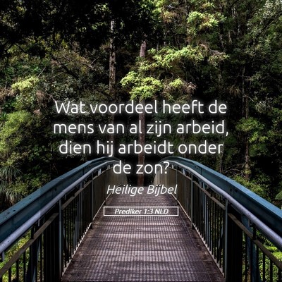 Picture 05 - Prediker 1:3 NLD - Wat voordeel heeft de mens van al zijn arbeid, - Bible Verse Picture