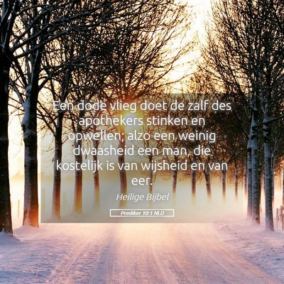 Picture 05 - Prediker 10:1 NLD - Een dode vlieg doet de zalf des apothekers - Bible Verse Picture