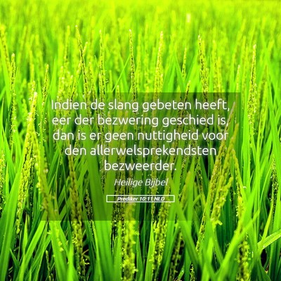 Picture 05 - Prediker 10:11 NLD - Indien de slang gebeten heeft, eer der bezwering - Bible Verse Picture